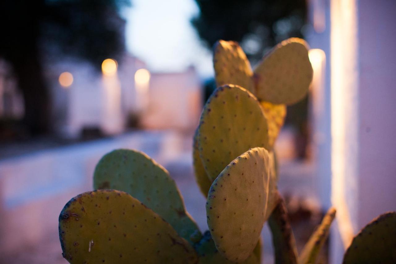 Masseria Cimino Savelletri Εξωτερικό φωτογραφία